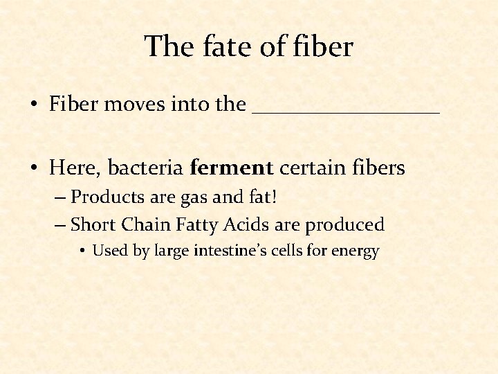 The fate of fiber • Fiber moves into the _________ • Here, bacteria ferment