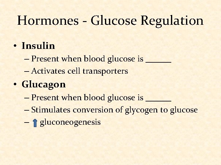 Hormones - Glucose Regulation • Insulin – Present when blood glucose is ______ –