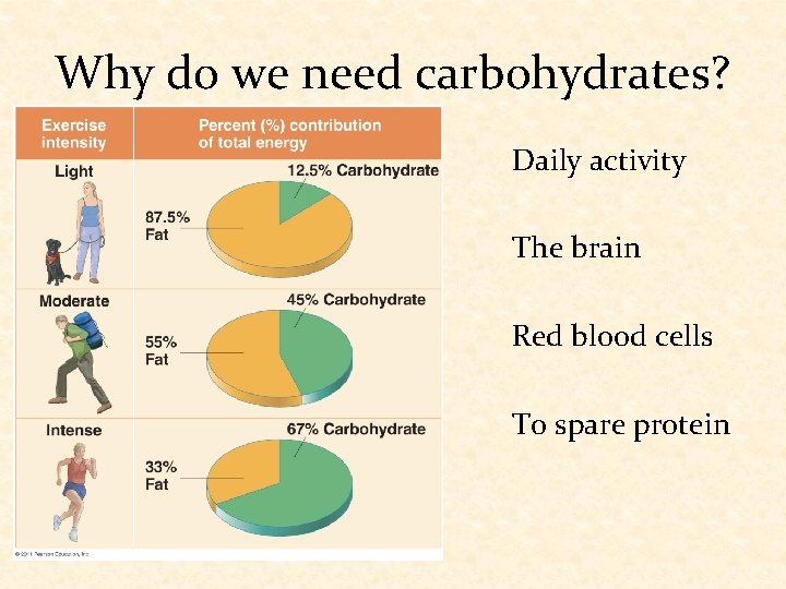 Why do we need carbohydrates? Daily activity The brain Red blood cells To spare