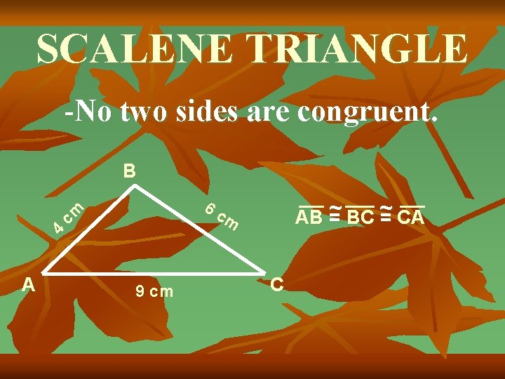 SCALENE TRIANGLE -No two sides are congruent. B AB ~ = BC ~ =