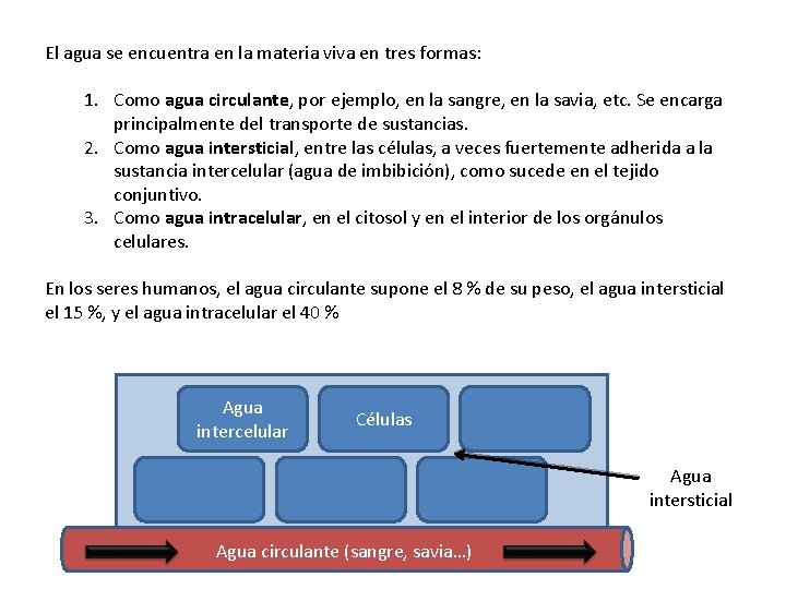 El agua se encuentra en la materia viva en tres formas: 1. Como agua