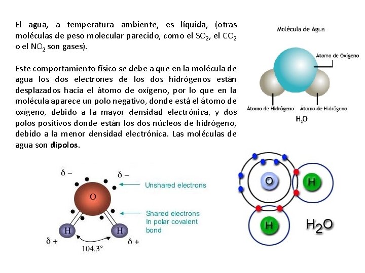 El agua, a temperatura ambiente, es líquida, (otras moléculas de peso molecular parecido, como