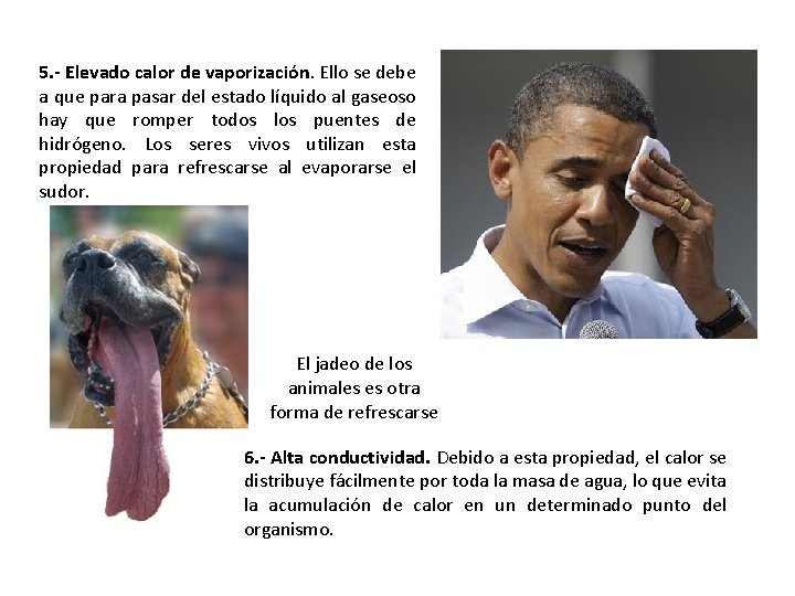 5. - Elevado calor de vaporización. Ello se debe a que para pasar del