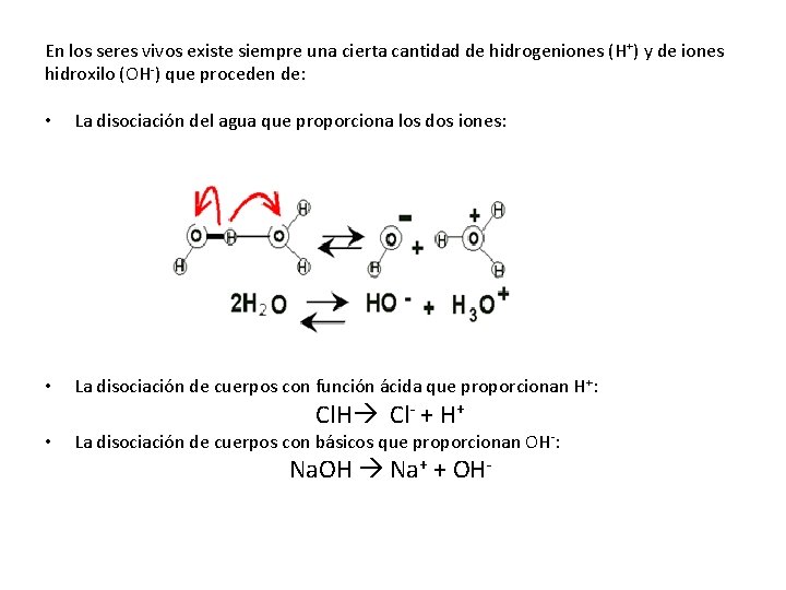 En los seres vivos existe siempre una cierta cantidad de hidrogeniones (H+) y de