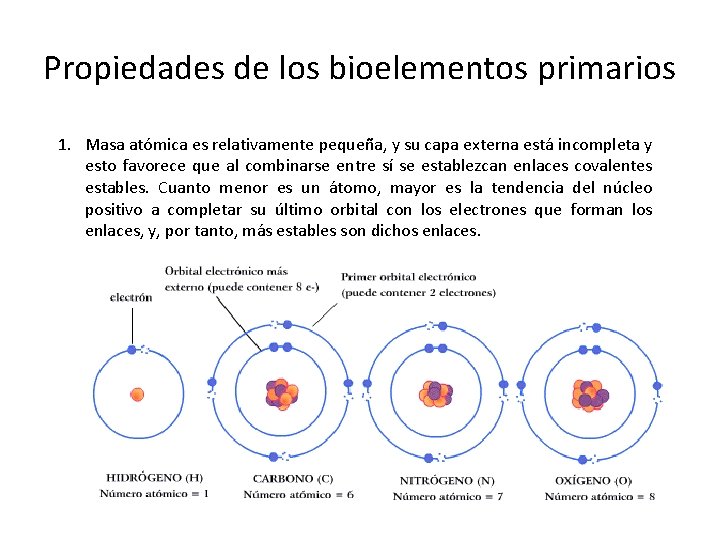 Propiedades de los bioelementos primarios 1. Masa atómica es relativamente pequeña, y su capa