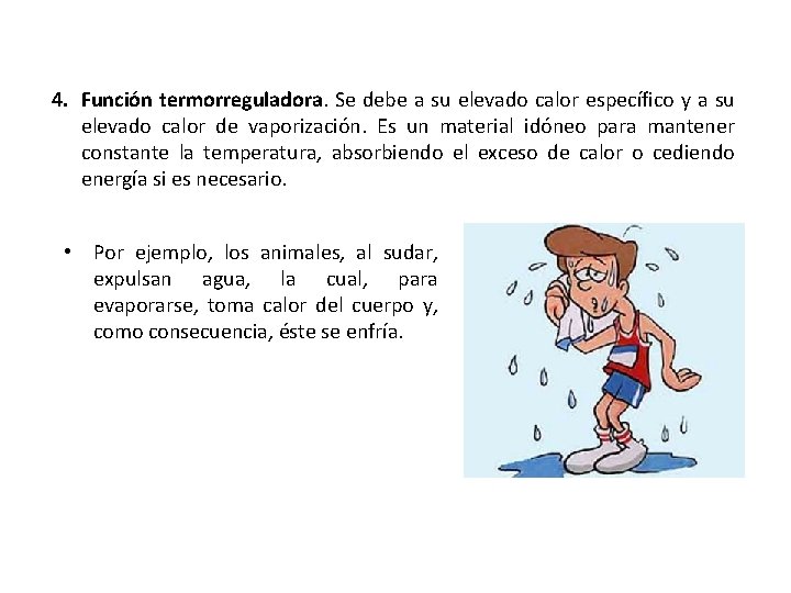 4. Función termorreguladora. Se debe a su elevado calor específico y a su elevado