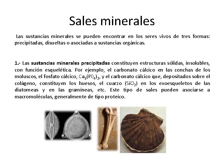 Sales minerales Las sustancias minerales se pueden encontrar en los seres vivos de tres