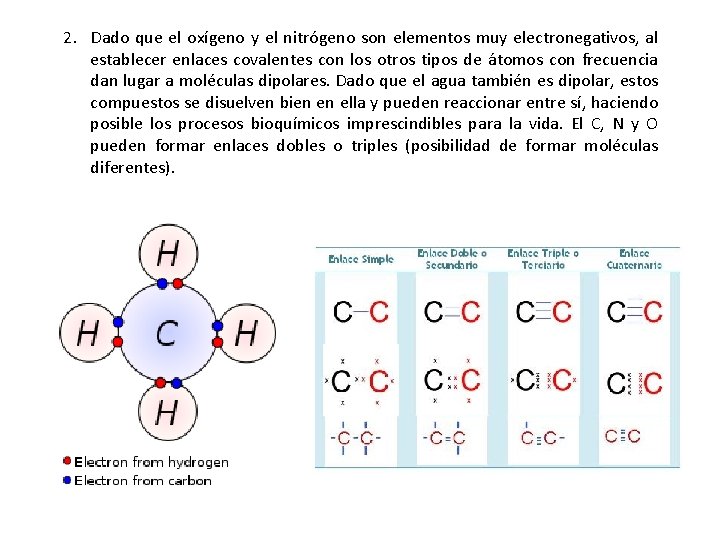2. Dado que el oxígeno y el nitrógeno son elementos muy electronegativos, al establecer