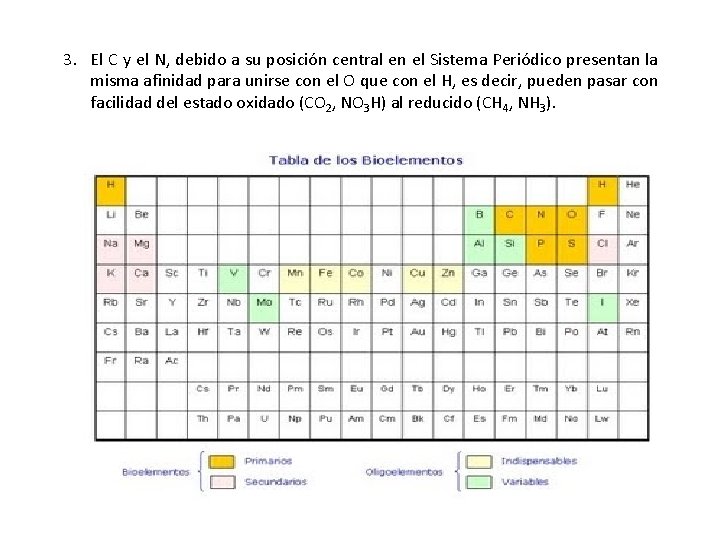 3. El C y el N, debido a su posición central en el Sistema