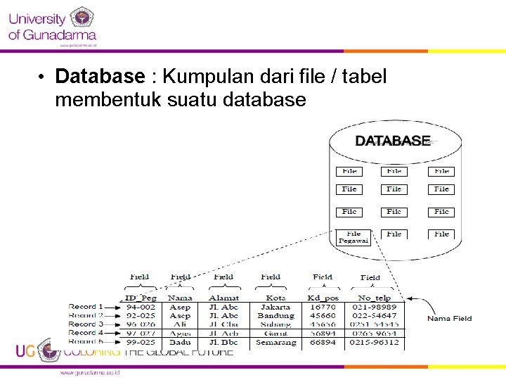  • Database : Kumpulan dari file / tabel membentuk suatu database 12 