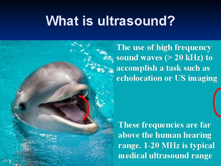 What is ultrasound? The use of high frequency sound waves (> 20 k. Hz)