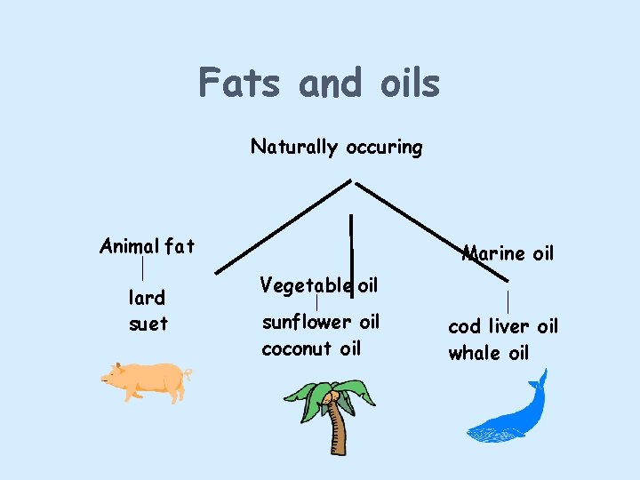 Fats and oils Naturally occuring Animal fat lard suet Marine oil Vegetable oil sunflower