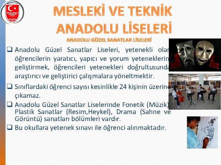 MESLEKİ VE TEKNİK ANADOLU LİSELERİ ANADOLU GÜZEL SANATLAR LİSELERİ q Anadolu Güzel Sanatlar Liseleri,