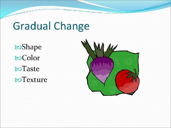 Gradual Change Shape Color Taste Texture 