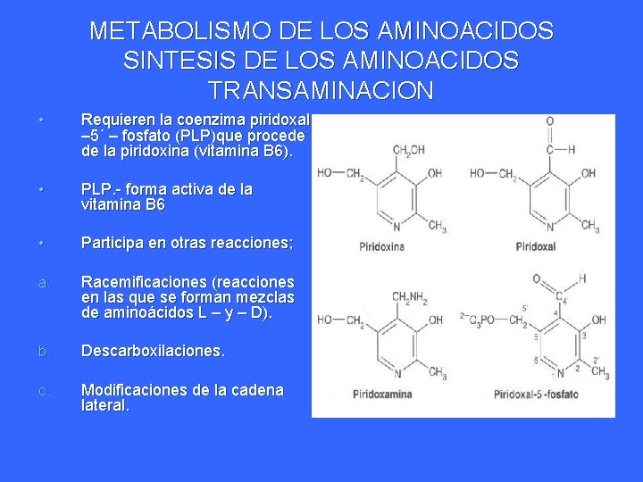 METABOLISMO DE LOS AMINOACIDOS SINTESIS DE LOS AMINOACIDOS TRANSAMINACION • Requieren la coenzima piridoxal