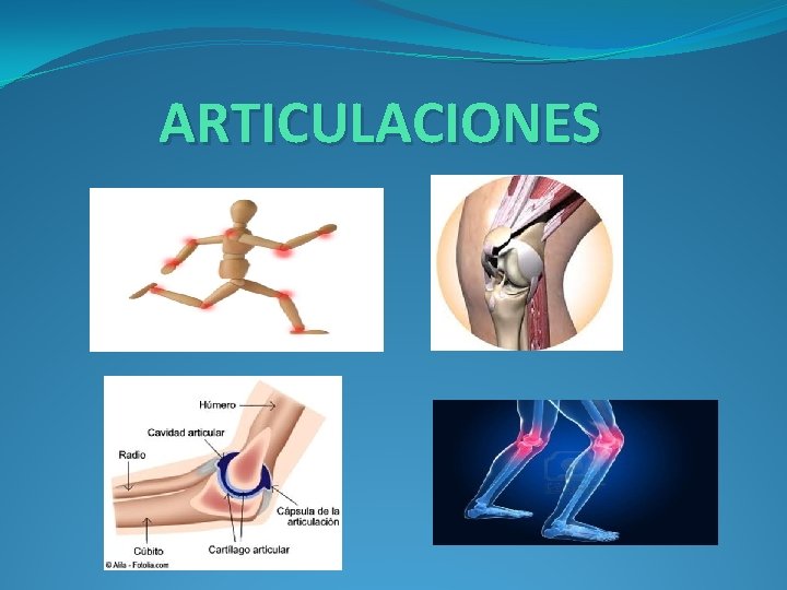 ARTICULACIONES 