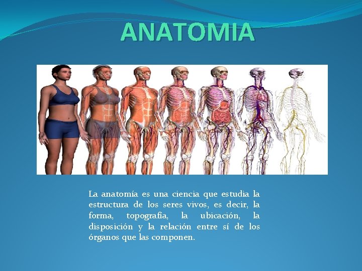 ANATOMIA La anatomía es una ciencia que estudia la estructura de los seres vivos,