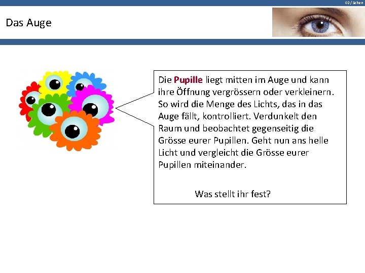 02 / Sehen Das Auge Die Pupille liegt mitten im Auge und kann ihre