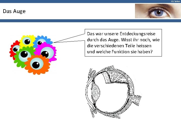 02 / Sehen Das Auge Das war unsere Entdeckungsreise durch das Auge. Wisst ihr