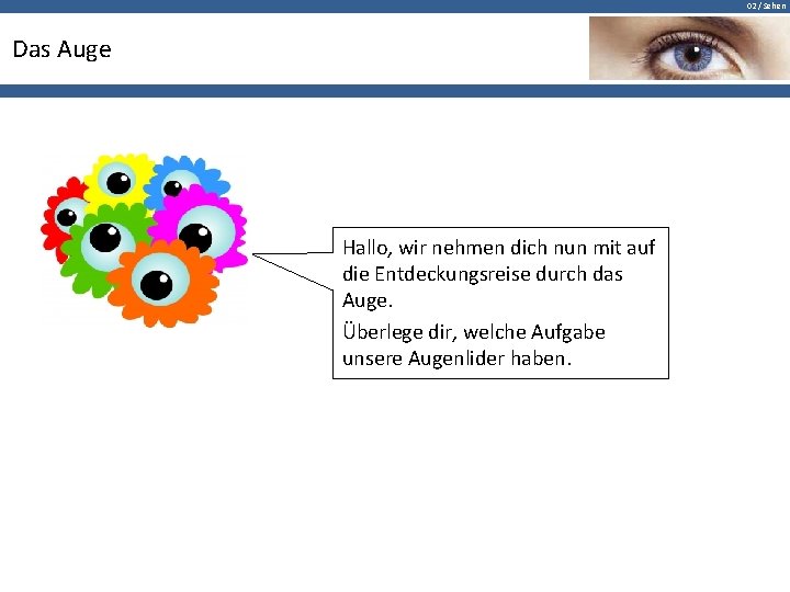 02 / Sehen Das Auge Hallo, wir nehmen dich nun mit auf die Entdeckungsreise
