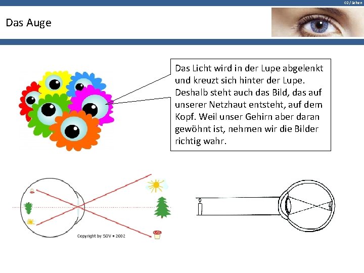 02 / Sehen Das Auge Das Licht wird in der Lupe abgelenkt und kreuzt