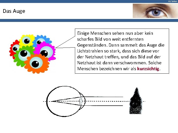 02 / Sehen Das Auge Einige Menschen sehen nun aber kein scharfes Bild von