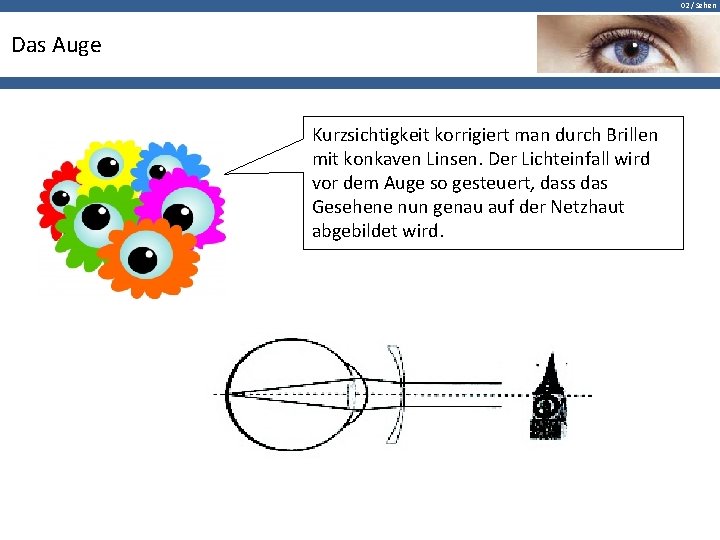 02 / Sehen Das Auge Kurzsichtigkeit korrigiert man durch Brillen mit konkaven Linsen. Der