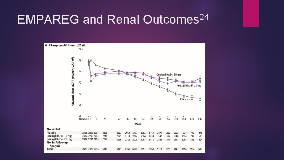 24 EMPAREG and Renal Outcomes 