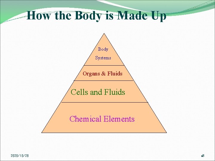 How the Body is Made Up Body Systems Organs & Fluids Cells and Fluids