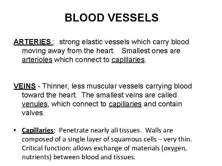 BLOOD VESSELS ARTERIES : strong elastic vessels which carry blood moving away from the