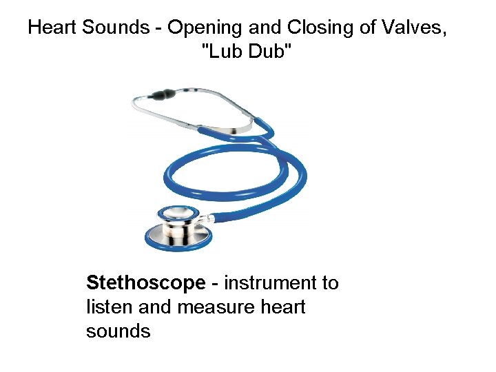 Heart Sounds - Opening and Closing of Valves, "Lub Dub" Stethoscope - instrument to