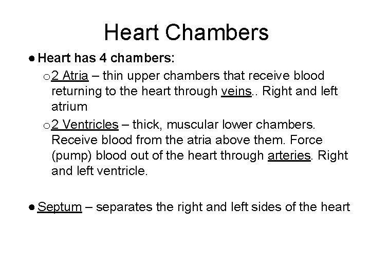 Heart Chambers ● Heart has 4 chambers: o 2 Atria – thin upper chambers