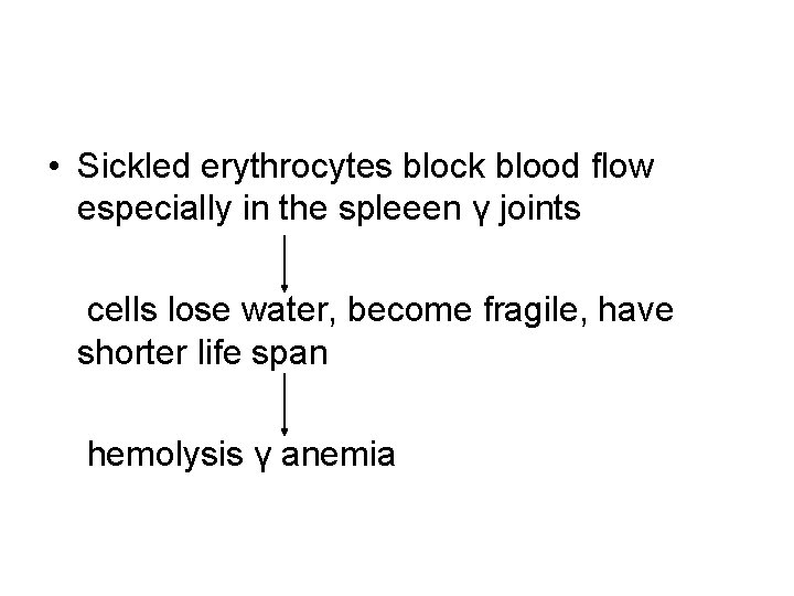  • Sickled erythrocytes block blood flow especially in the spleeen γ joints cells