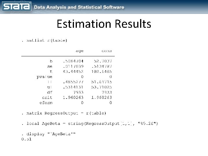 Estimation Results 