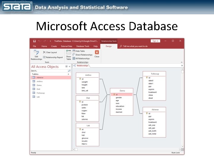Microsoft Access Database 