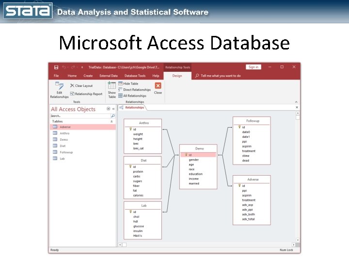 Microsoft Access Database 