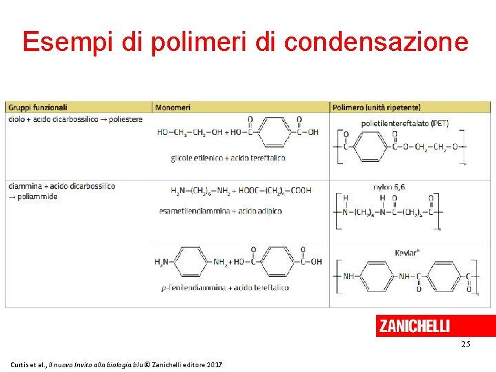 Esempi di polimeri di condensazione 25 Curtis et al. , Il nuovo Invito alla