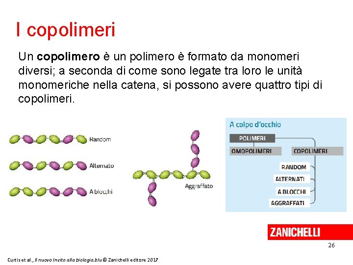 I copolimeri Un copolimero è un polimero è formato da monomeri diversi; a seconda