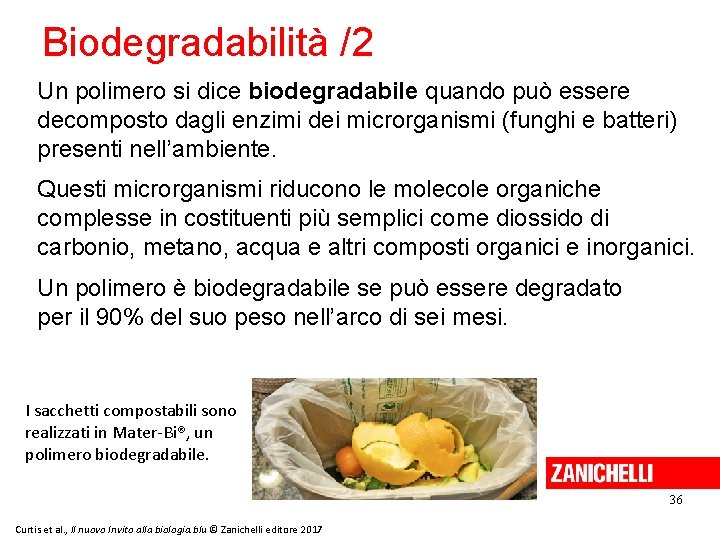 Biodegradabilità /2 Un polimero si dice biodegradabile quando può essere decomposto dagli enzimi dei
