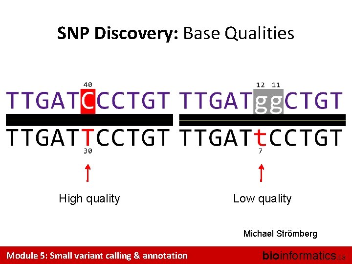 SNP Discovery: Base Qualities High quality Low quality Michael Strömberg Module 5: Small variant
