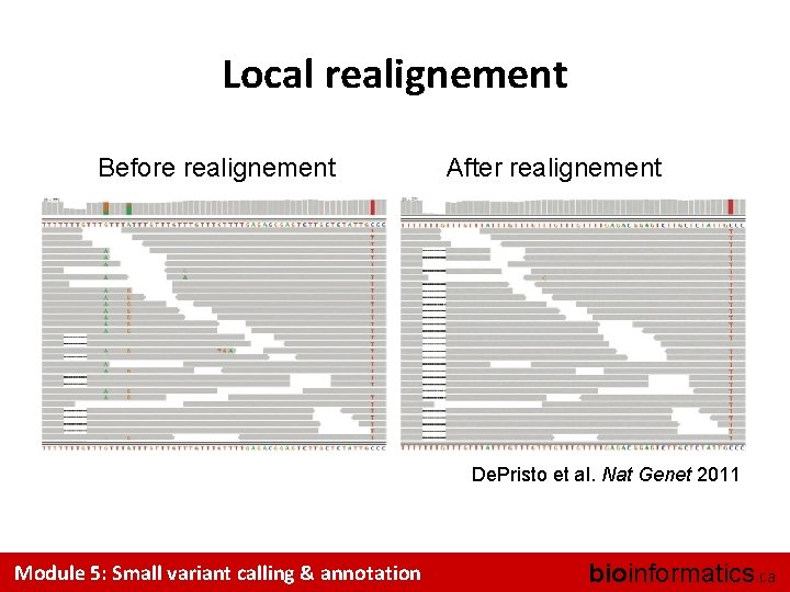 Local realignement Before realignement After realignement De. Pristo et al. Nat Genet 2011 Module