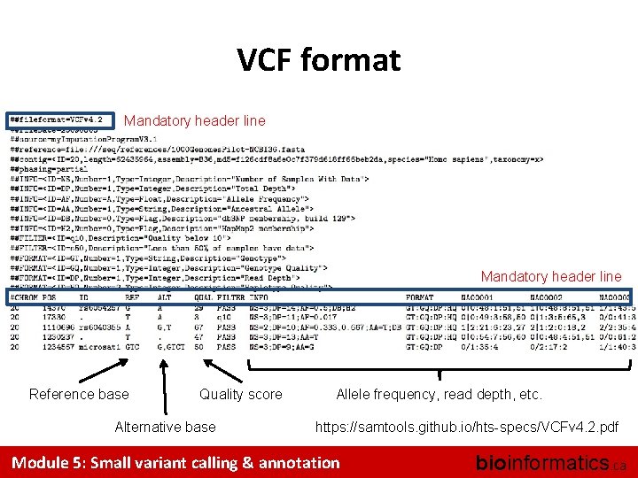 VCF format Mandatory header line Reference base Quality score Alternative base Allele frequency, read