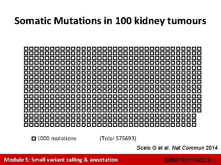 Somatic Mutations in 100 kidney tumours 1000 mutations (Total 575693) Scelo G et al.