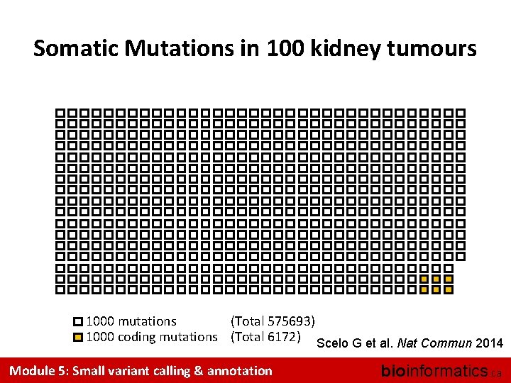 Somatic Mutations in 100 kidney tumours 1000 mutations (Total 575693) 1000 coding mutations (Total