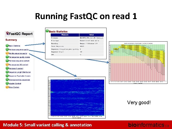 Running Fast. QC on read 1 Very good! Module 5: Small variant calling &