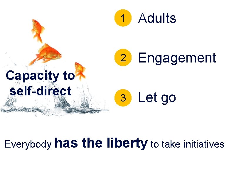 Capacity to self-direct Everybody has 1 Adults 2 Engagement 3 Let go the liberty