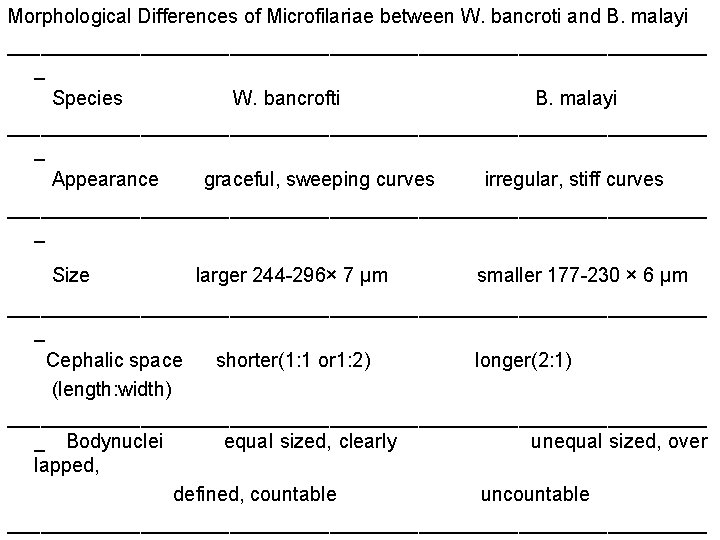 Morphological Differences of Microfilariae between W. bancroti and B. malayi ________________________________ _ Species W.