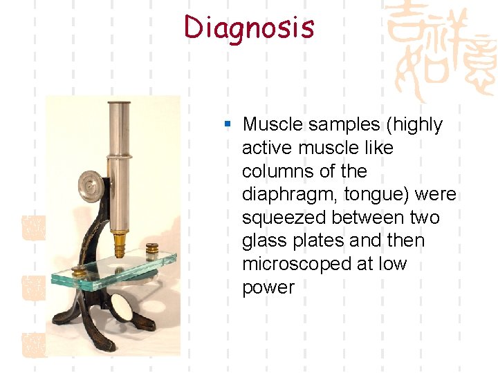 Diagnosis § Muscle samples (highly active muscle like columns of the diaphragm, tongue) were
