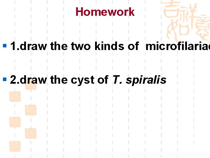 Homework § 1. draw the two kinds of microfilariae § 2. draw the cyst