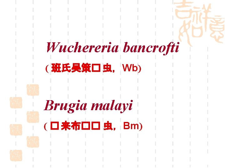 Wuchereria bancrofti ( 班氏吴策� 虫，Wb) Brugia malayi ( � 来布�� 虫，Bm) 
